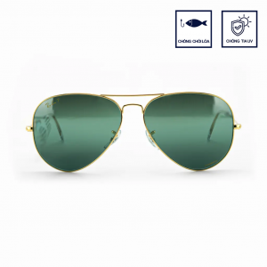 RAYBAN POL RB3025