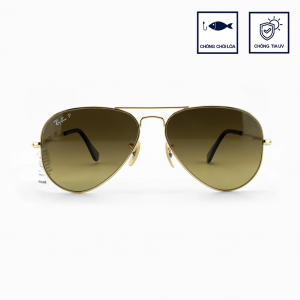 RAYBAN POL RB3025